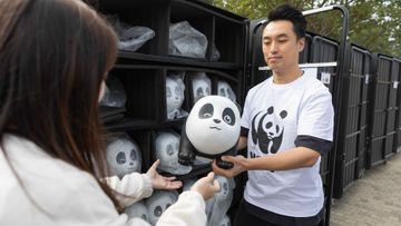 我要做飼養員計劃推出數小時, 千隻大熊貓雕塑全數被領養, 香港財經時報