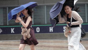 國慶, 颱風生成, 4個電腦模式, 預測路徑比較, 天文台, 2個氣象, 影響香港, hkbt, 香港財經時報