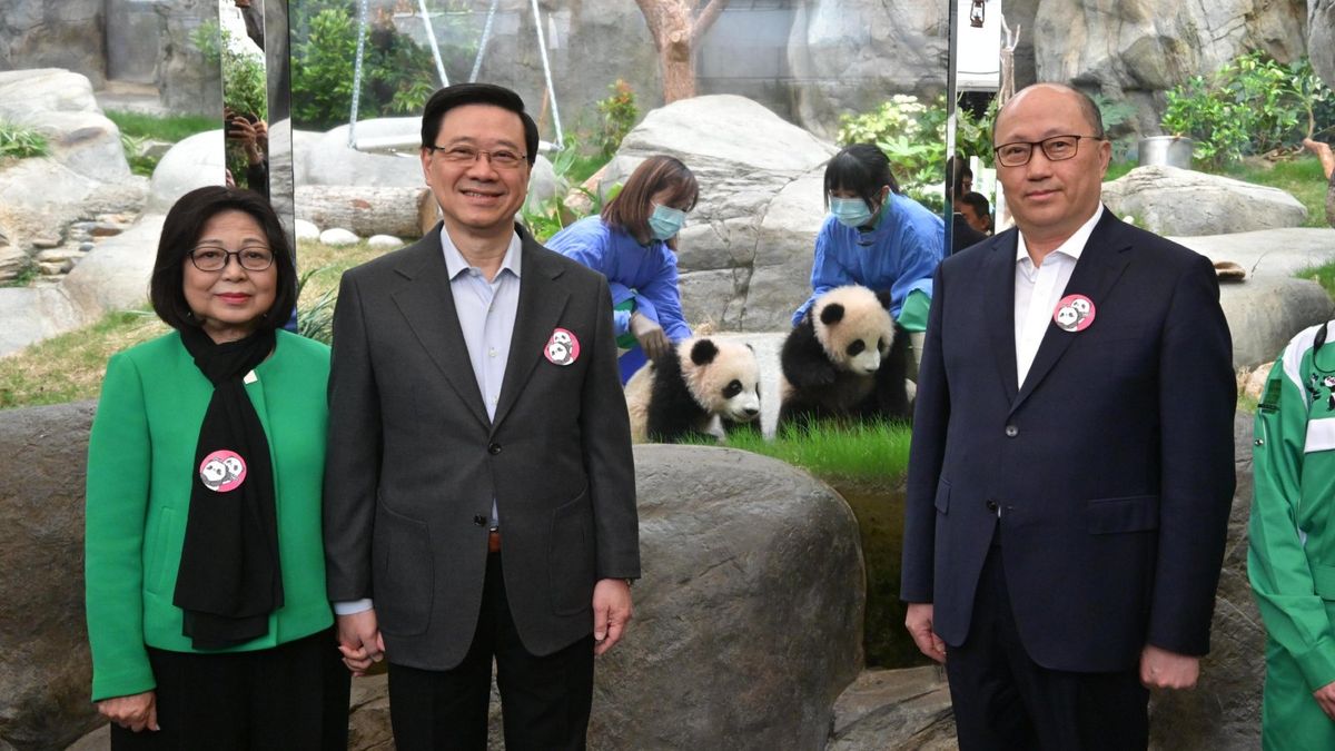 港產大熊貓龍鳳胎2月16日起跟市民見面！命名比賽開鑼｜附連結
