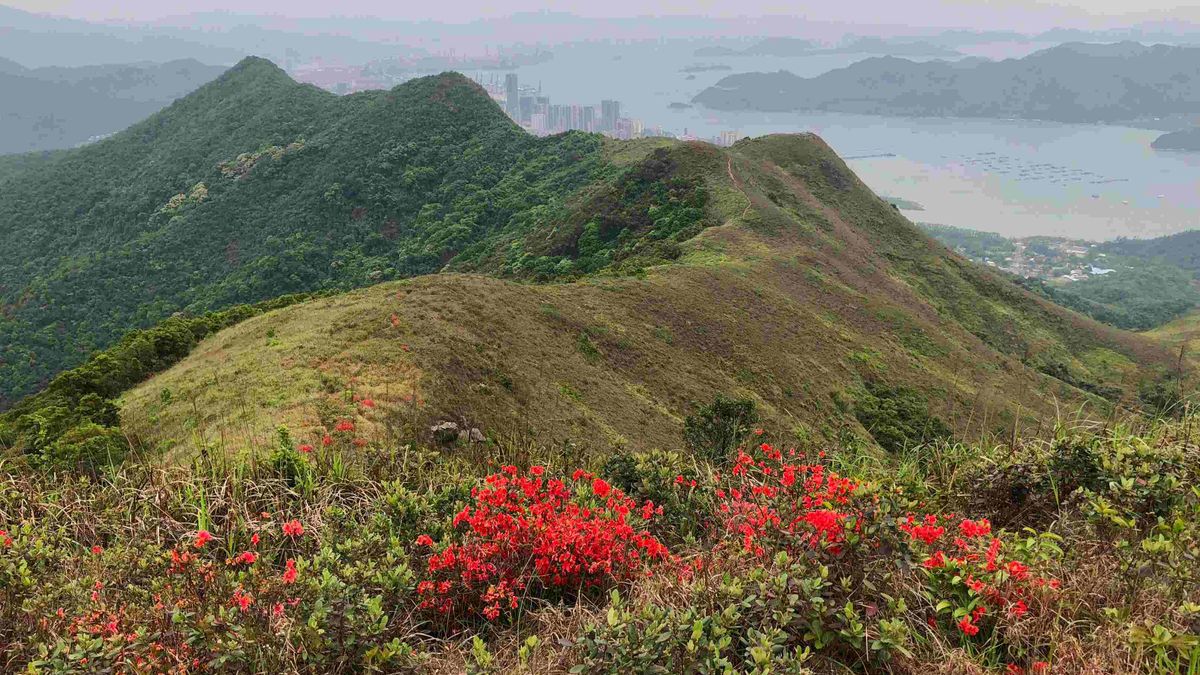 沙頭角蓮麻坑村附近邊境禁區路段即日起開放, 紅花嶺郊野公園免費睇秘景鉛礦洞, 香港財經時報
