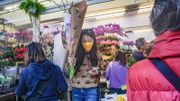 環保署預料周日稍後時間：空氣質素健康指數風險級別會達至嚴重水平