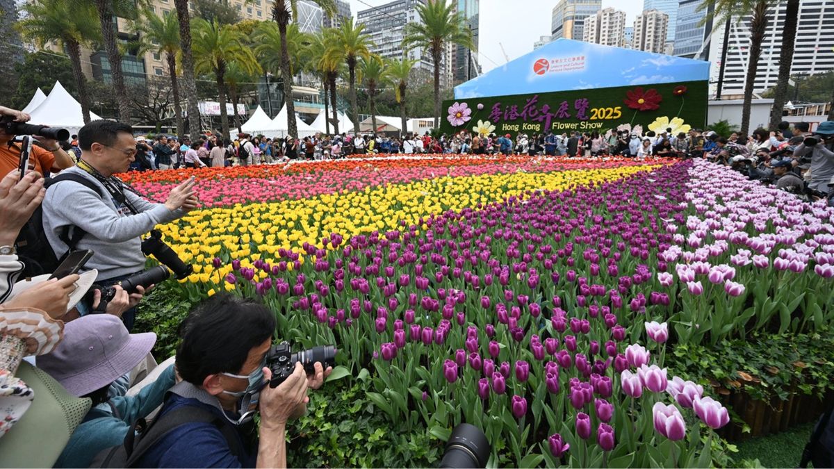 香港花卉展覽2025｜3月14日至23日維園舉行！入場攻略懶人包