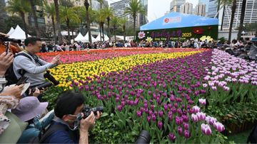 香港花卉展覽, hkbt, 香港財經時報