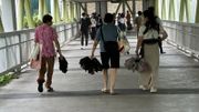 天文台改發紅雨後特別交通安排：港鐵按需要適度加密班次、有巴⼠停駛改道 
