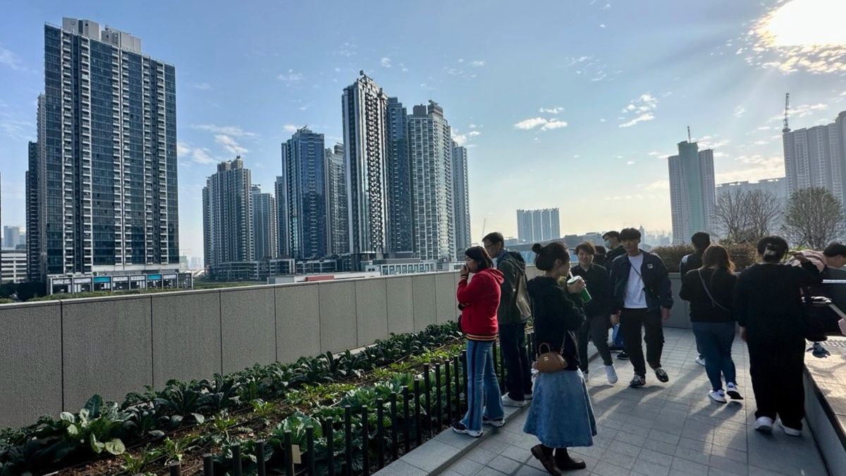 二手私樓香港個人買家比例連跌5年｜內地買家比例連升5年創歷史新高  