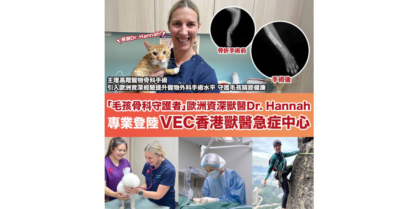 VEC香港獸醫急症中心