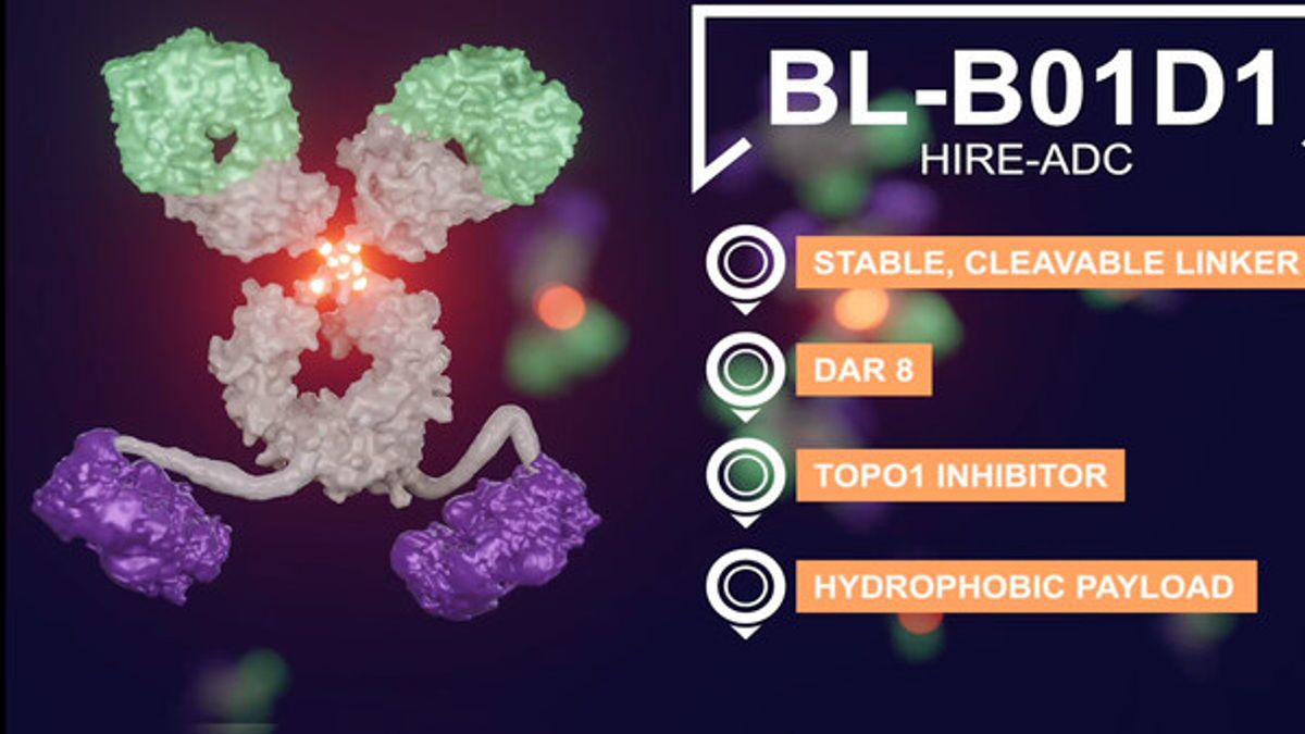 中國創新藥新星百利天恆（Biokin）和跨國醫藥巨頭BMS