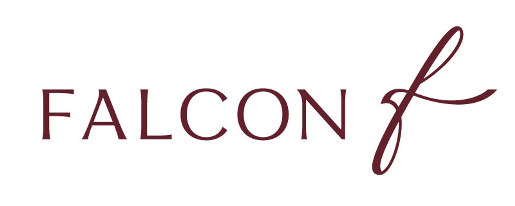 Falcon Executive Aviation