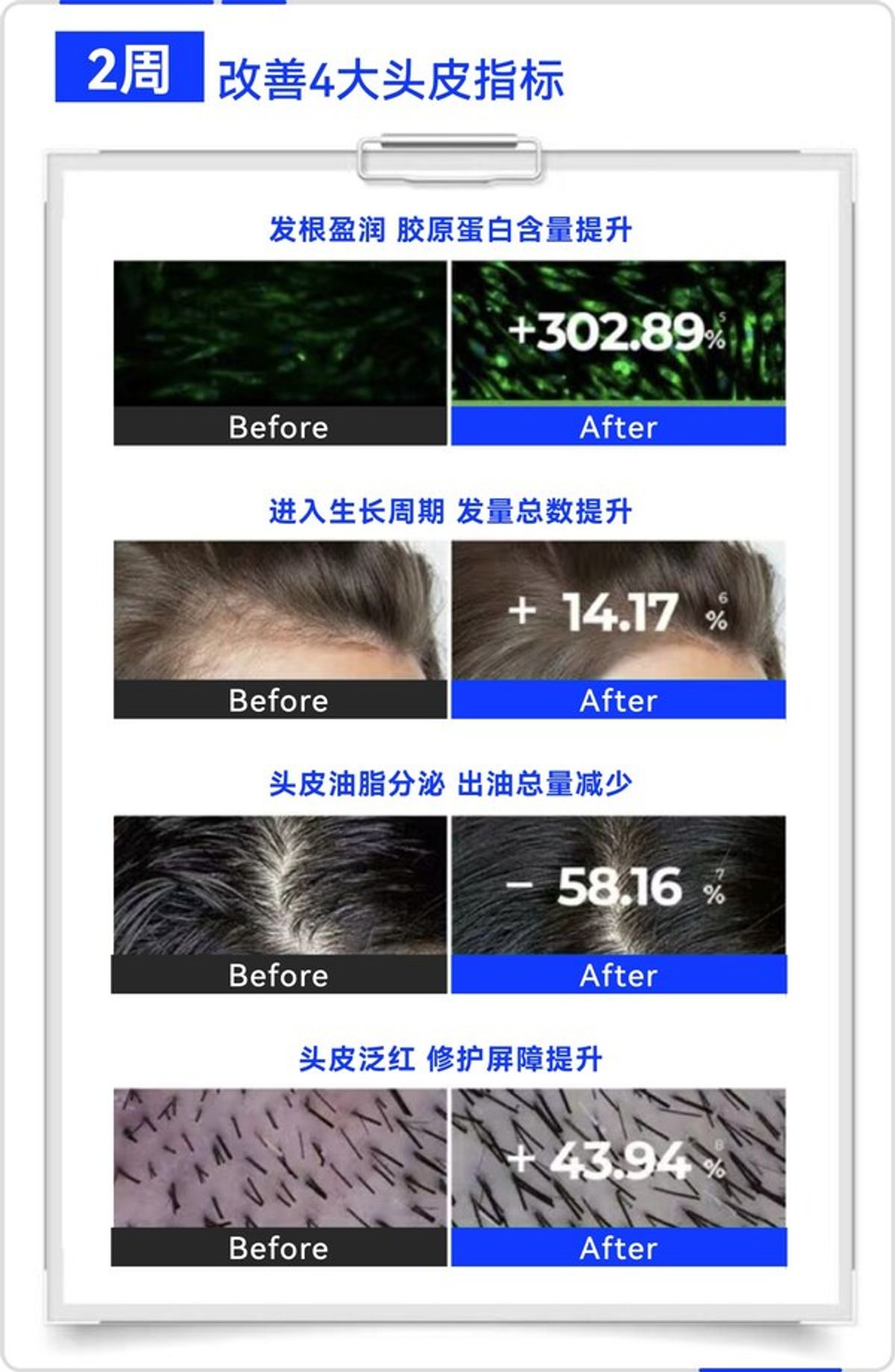 晶泰科技
