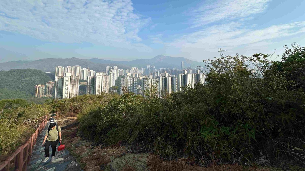 青衣自然徑, 香港財經時報