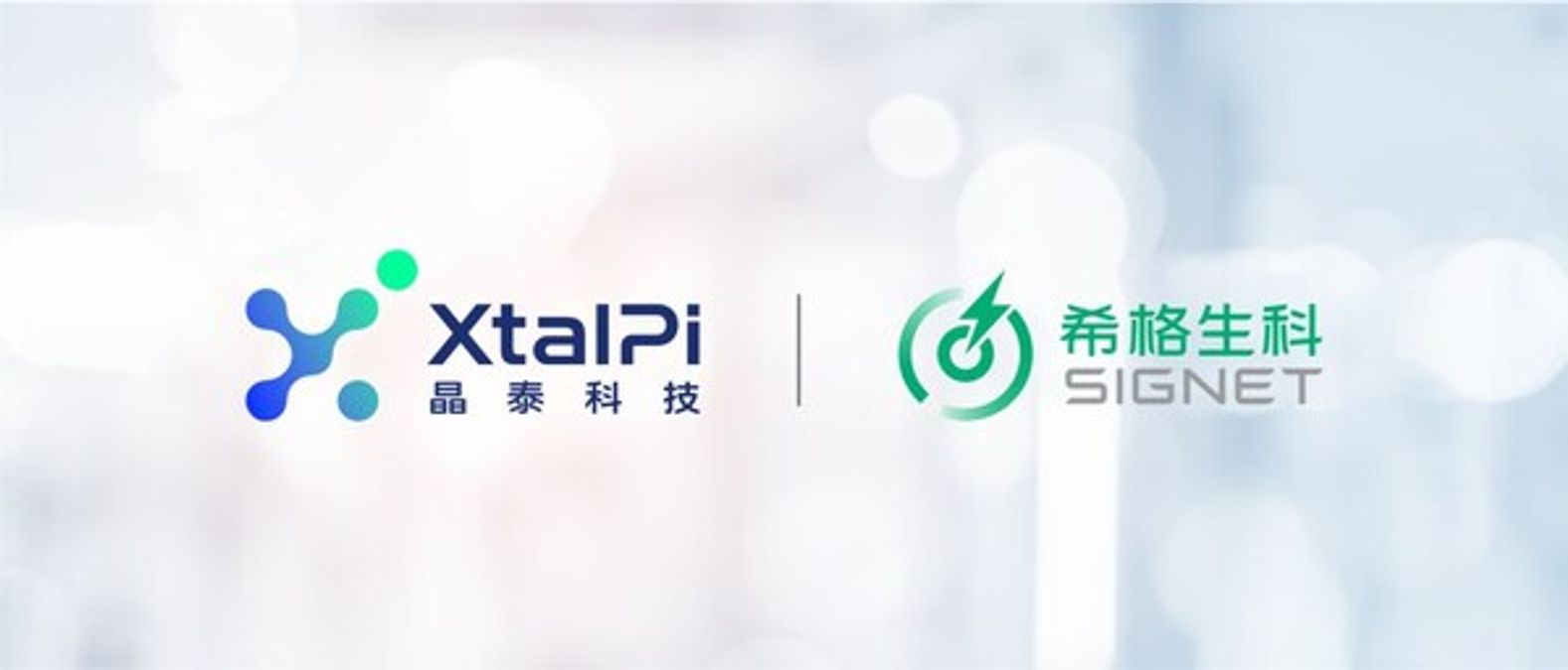 晶泰科技