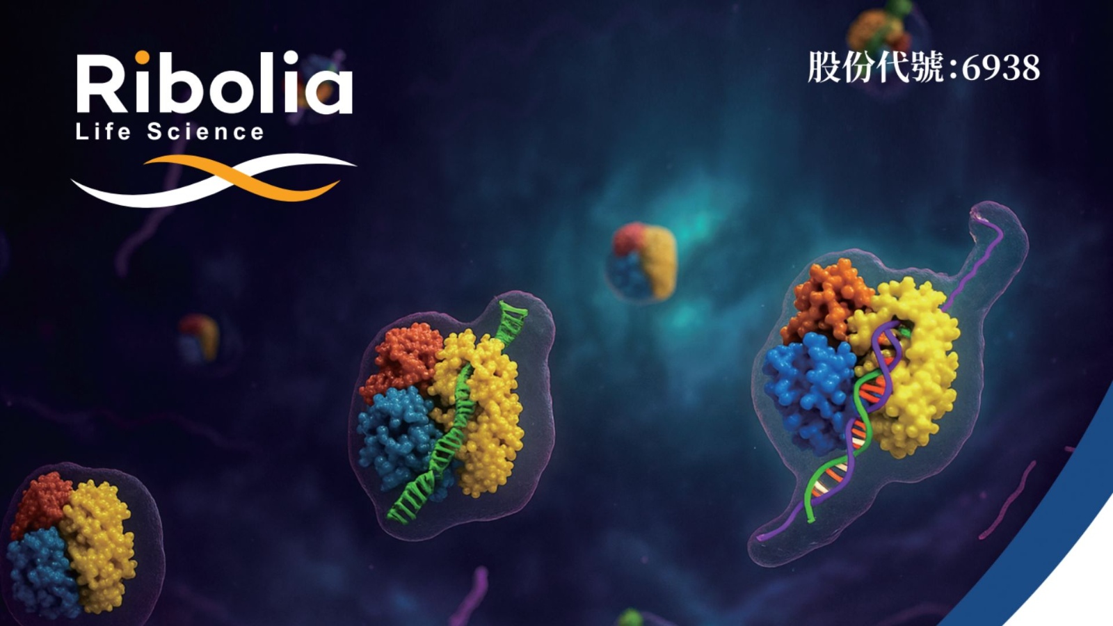 瑞博生物上市招股：小核酸藥物賽道領軍者｜投資價值全面剖析
