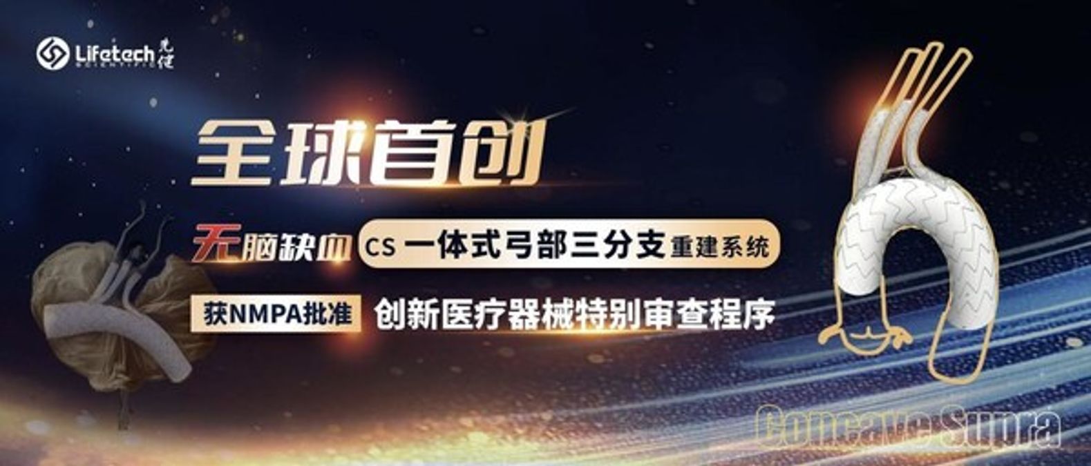 先健科技公司