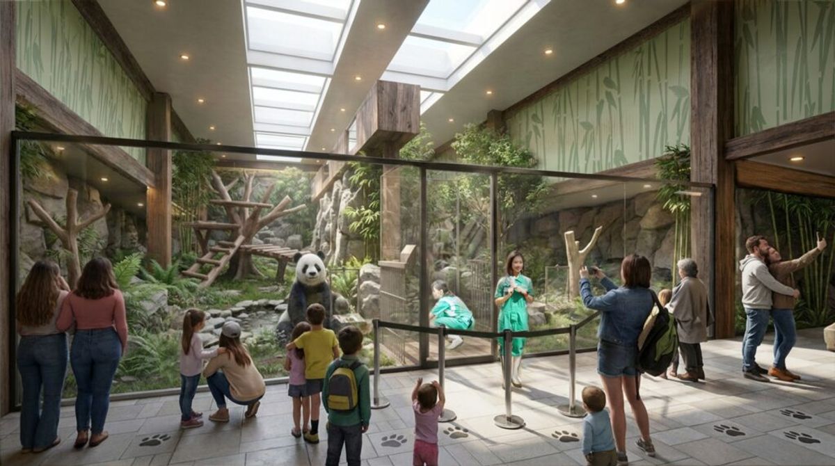 海洋公園 全新大熊貓展館 